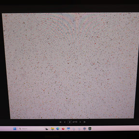 Chemometec XcytoMatic 40 XM40 High-throughput cell density analyzer